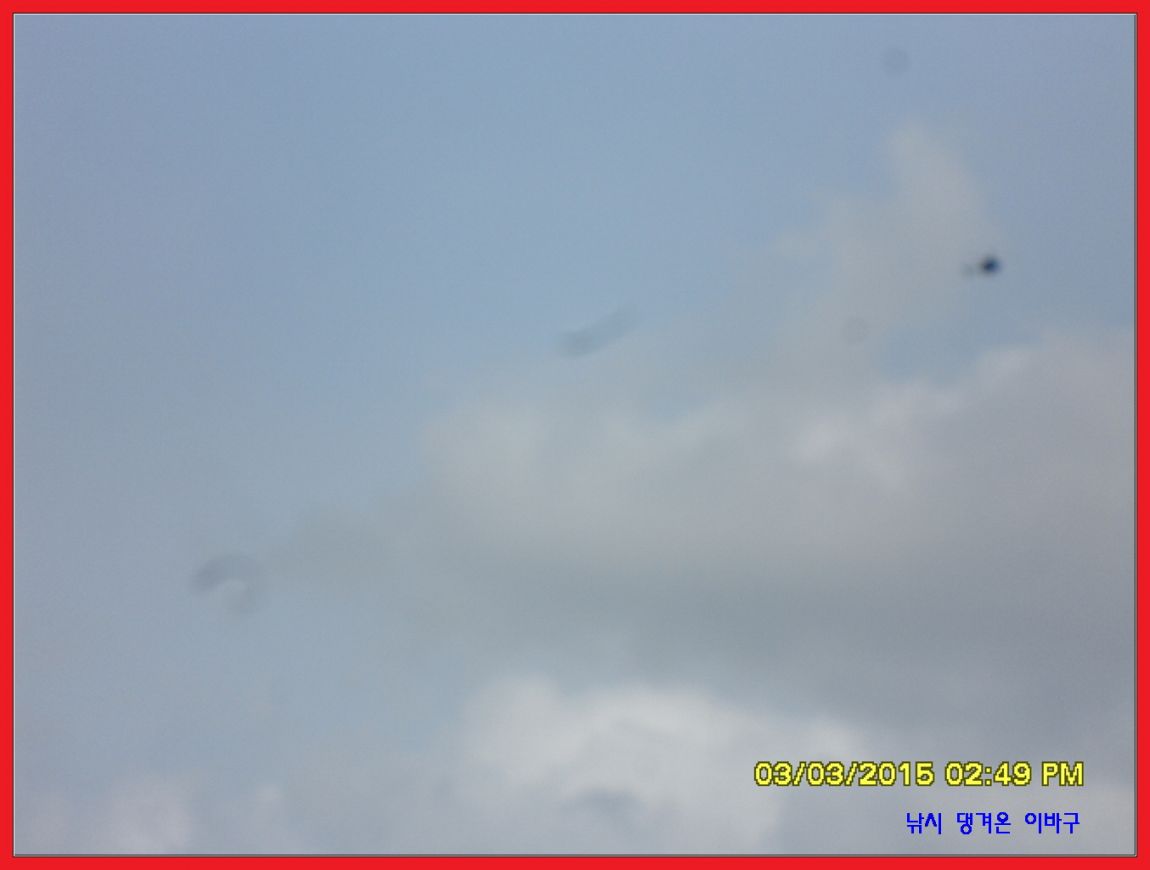 �ٹ̱�_SDC12072.jpg