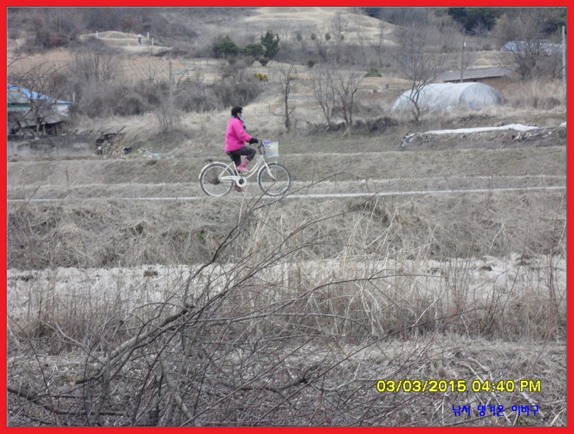�ٹ̱�_SDC12088.jpg
