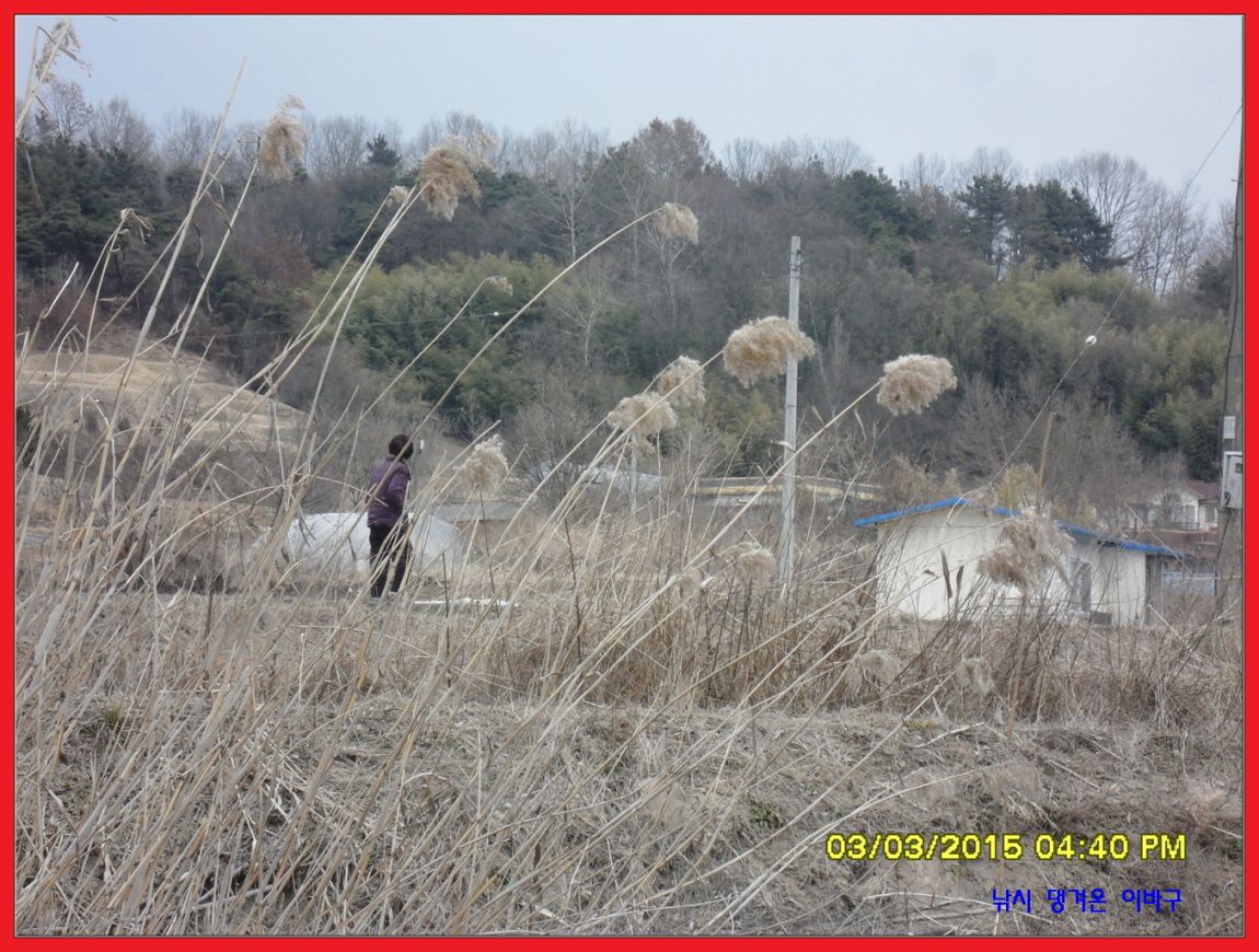 �ٹ̱�_SDC12089.jpg