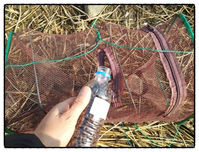 5 �����.jpg