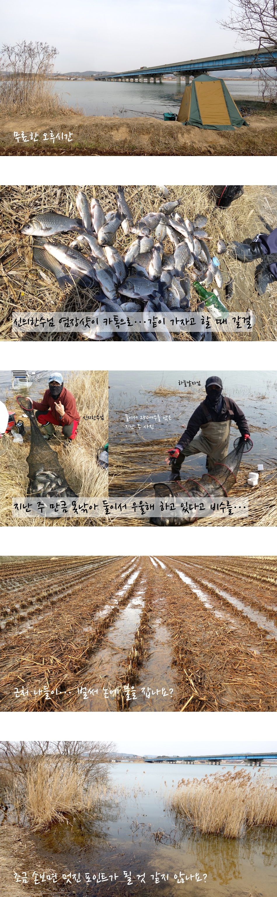edit005.jpg
