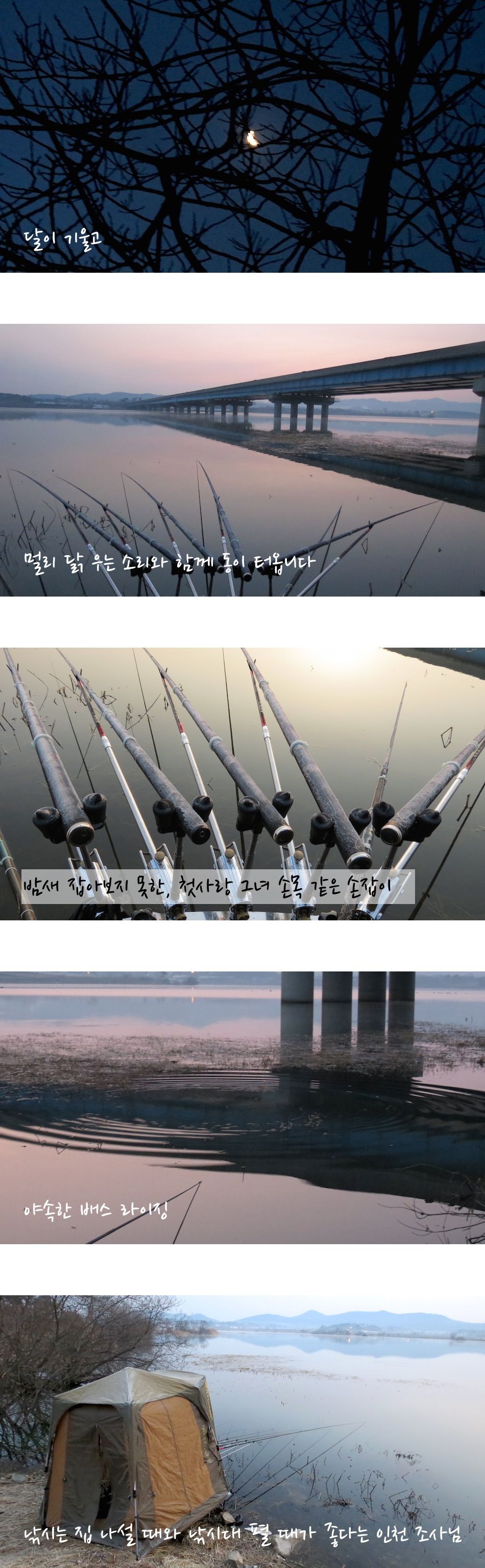 edit008.jpg