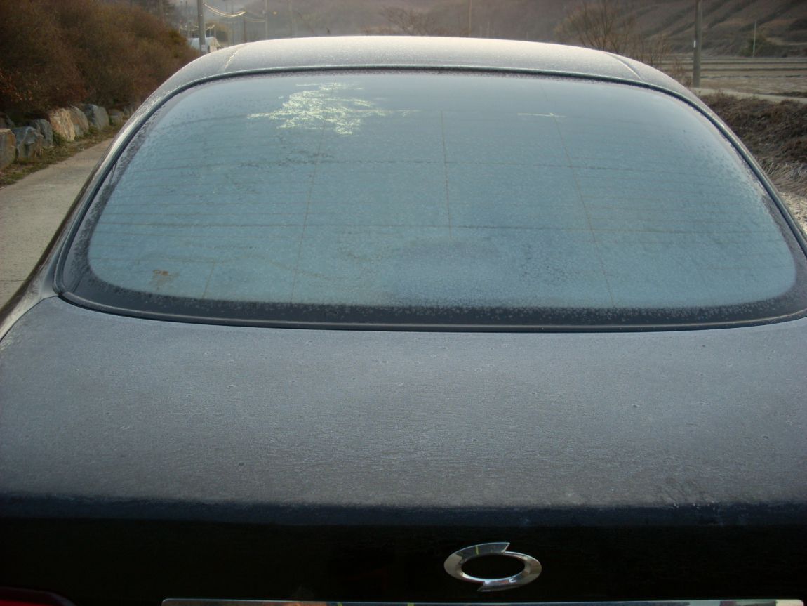 SL371519.JPG