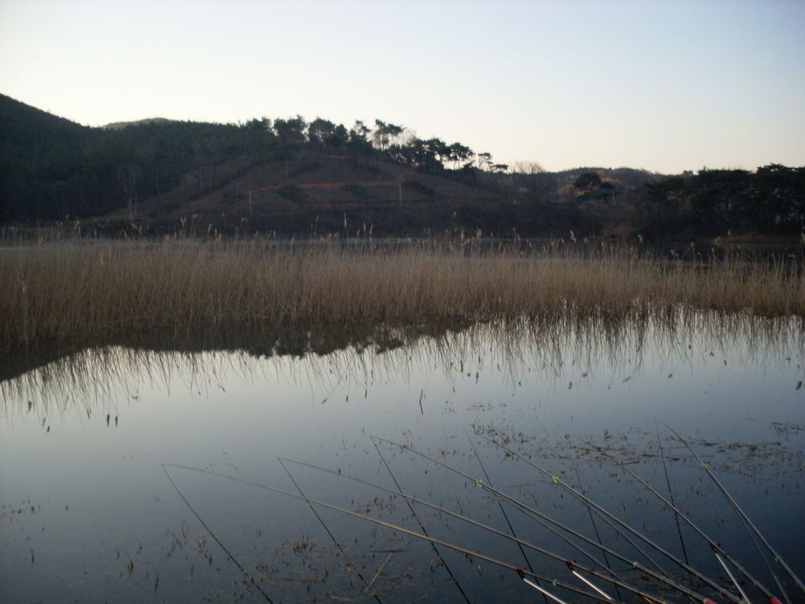SL371529.JPG