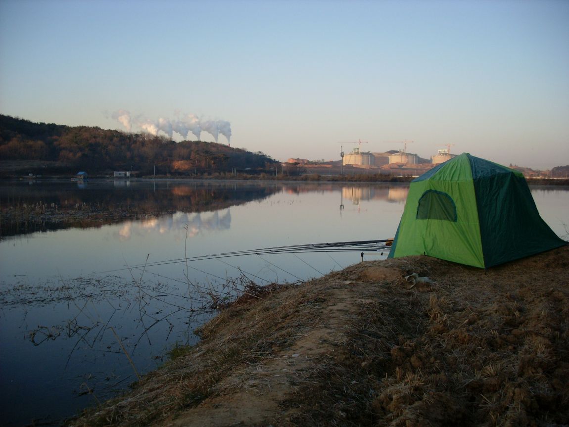 SL371530.JPG