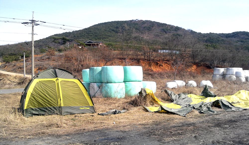 2015-03-14 13.49.17.jpg