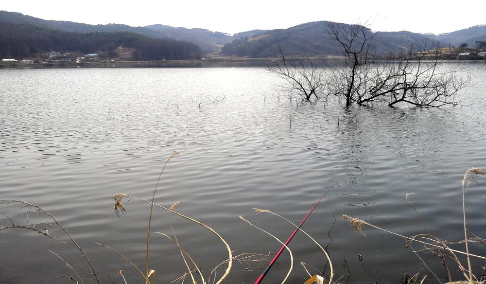 2015-03-14 13.52.18.jpg