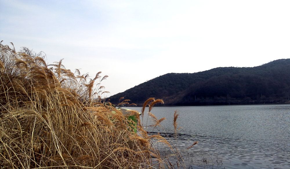 2015-03-14 13.52.07.jpg