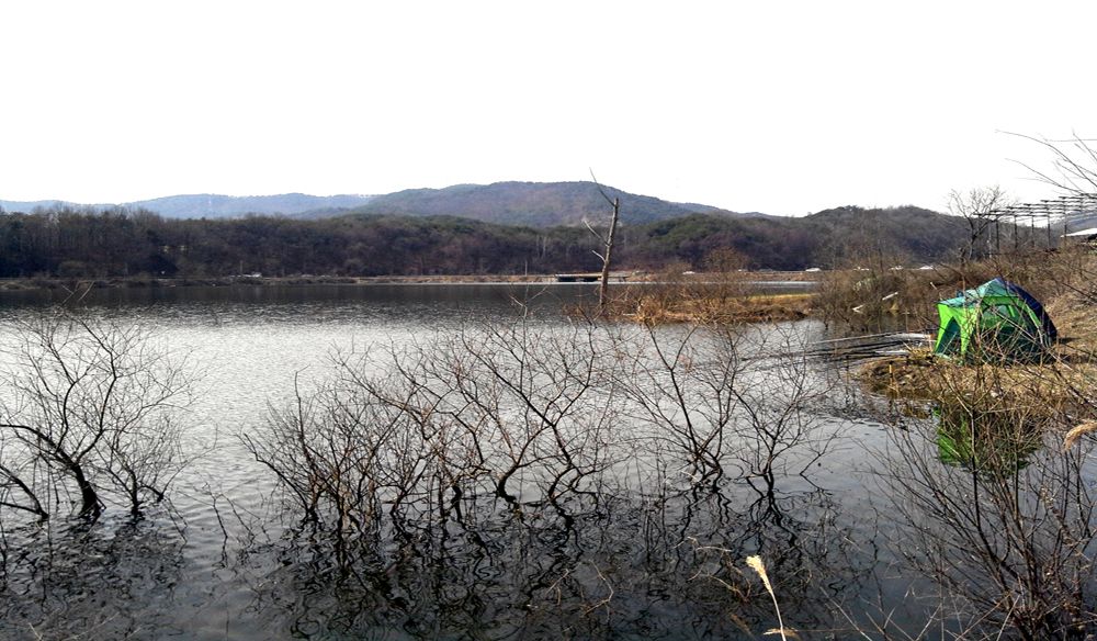 2015-03-14 13.52.32.jpg