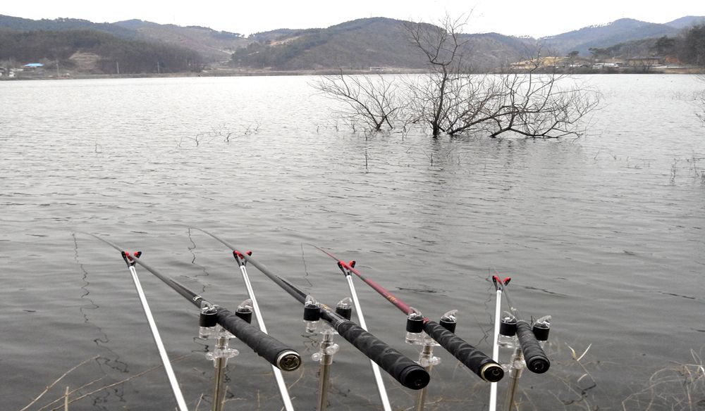 2015-03-14 17.44.14.jpg