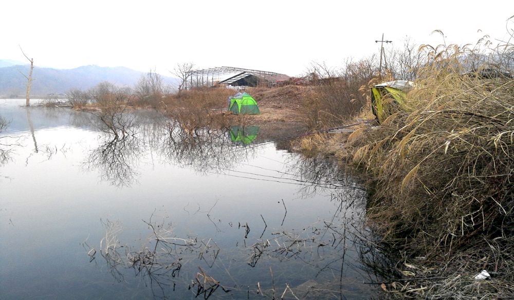 2015-03-15 07.11.33.jpg