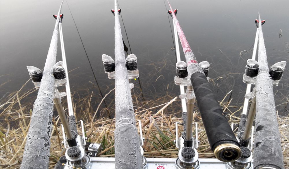 2015-03-15 07.02.48.jpg