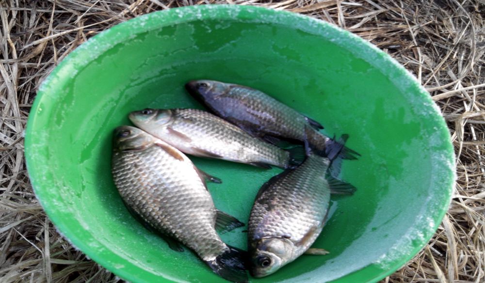 2015-03-15 07.44.00.jpg