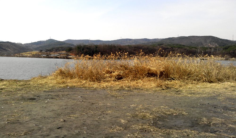 2015-03-15 12.30.26.jpg