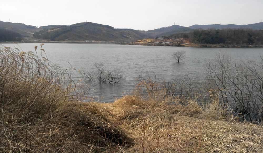 2015-03-15 12.30.56.jpg