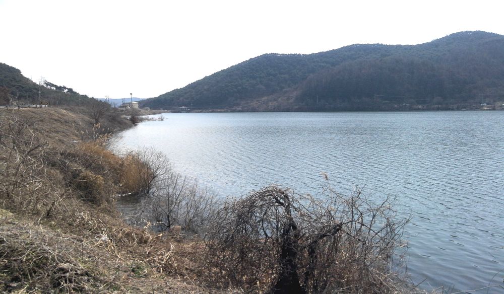 2015-03-15 12.31.27.jpg