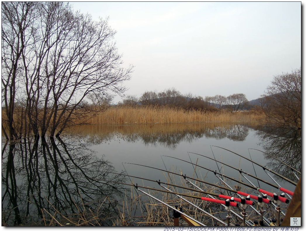 ž��-20150315_31.jpg