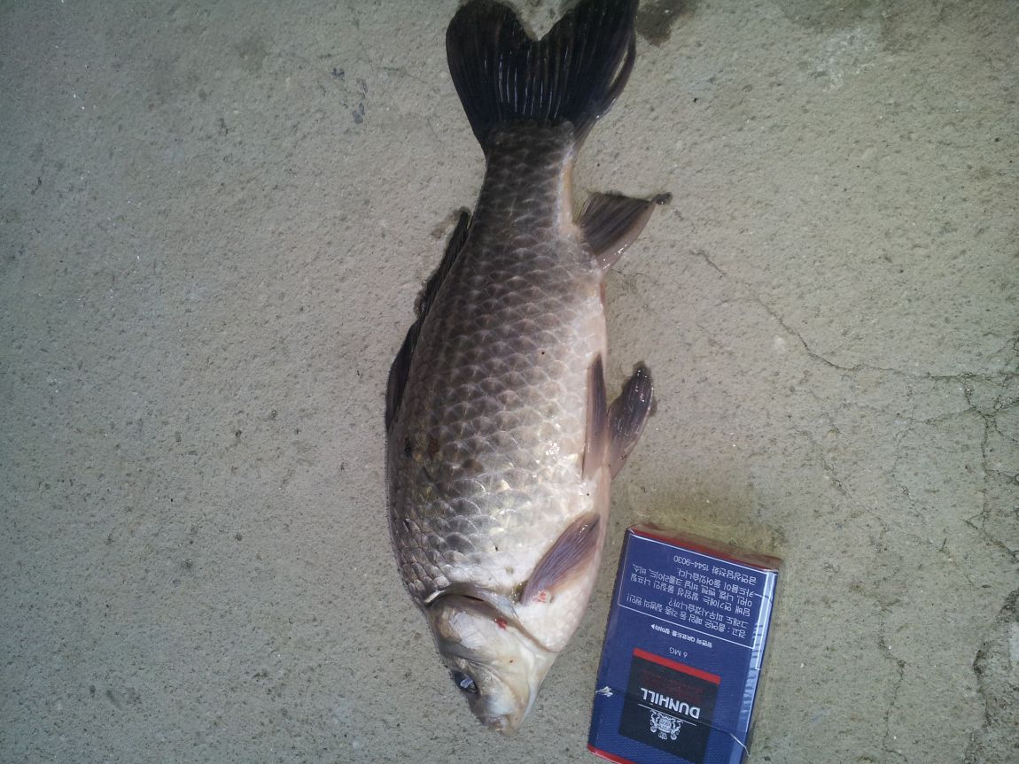 20150315_170152.jpg