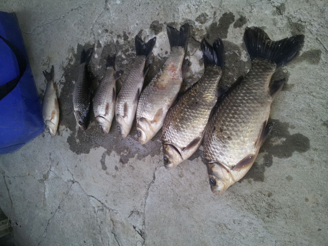 20150315_170013.jpg