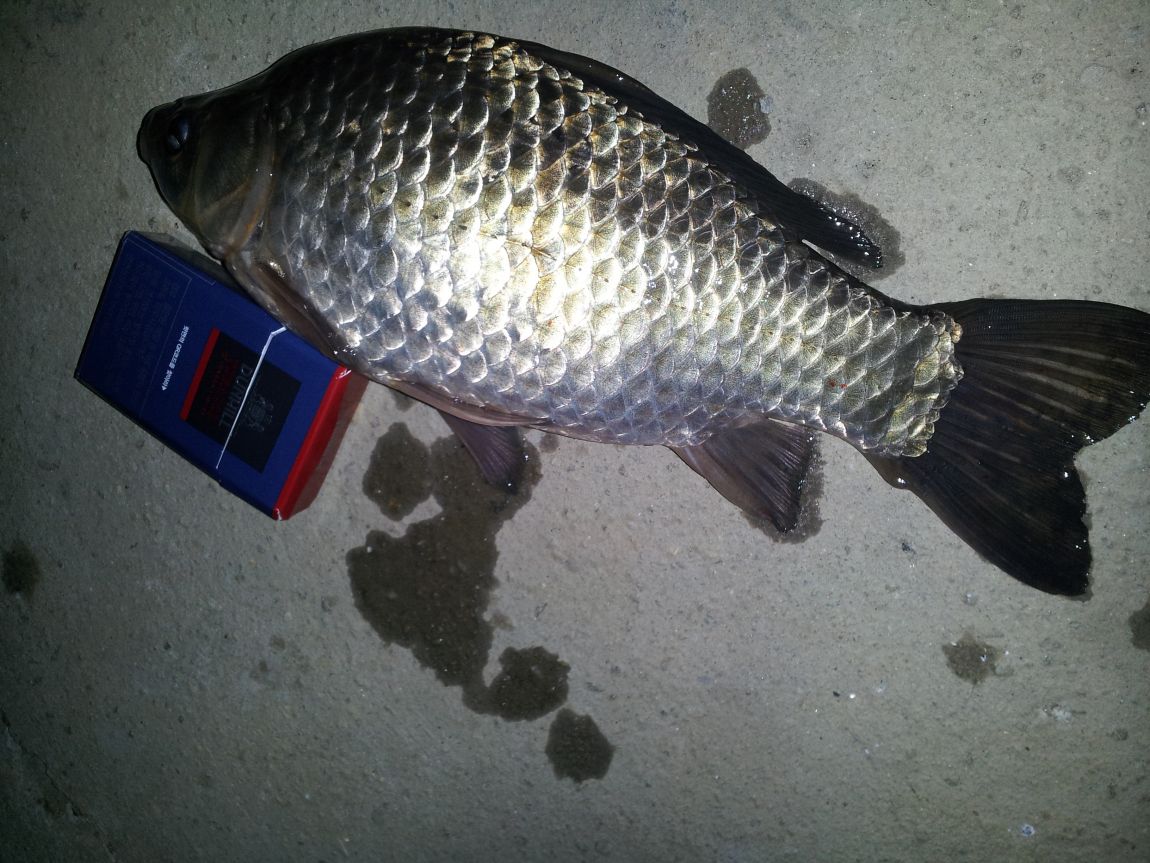 20150313_212325.jpg