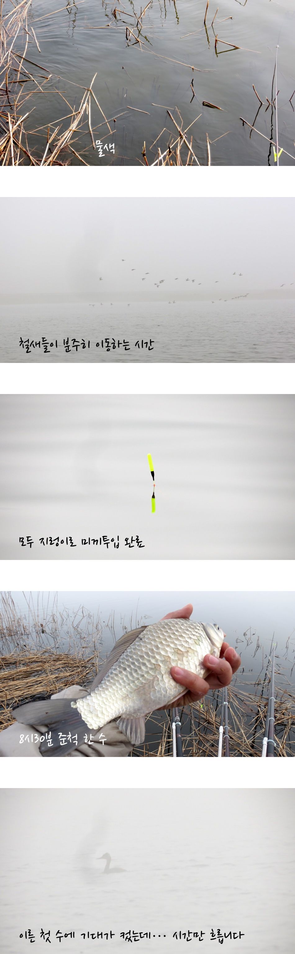 edit_004.jpg