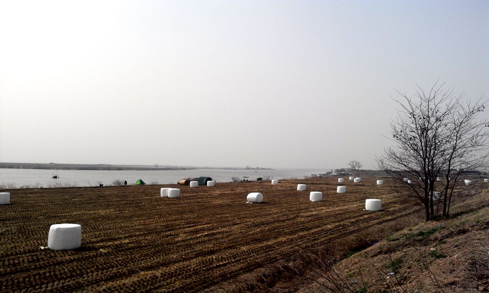 2015-03-21 13.13.41.jpg