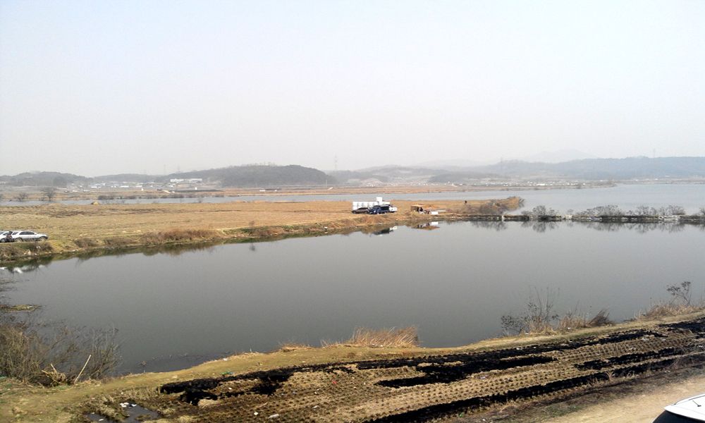 2015-03-21 13.17.00.jpg