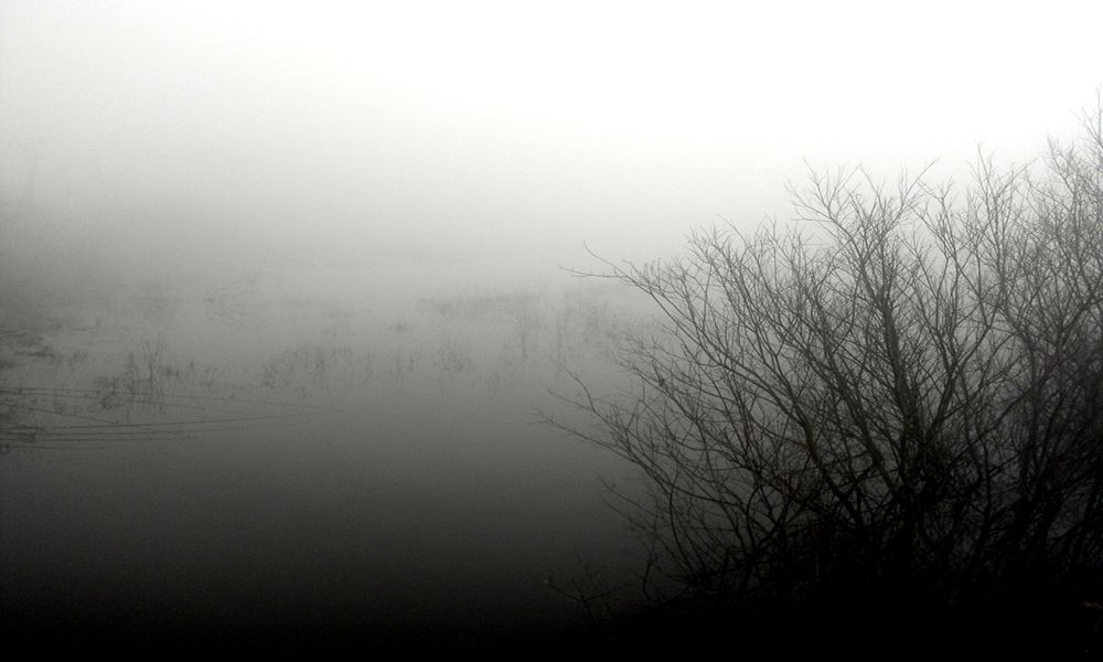 2015-03-22 08.56.26.jpg