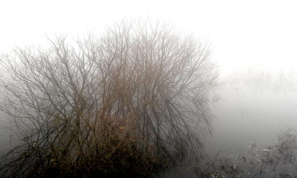 2015-03-22 08.56.58.jpg