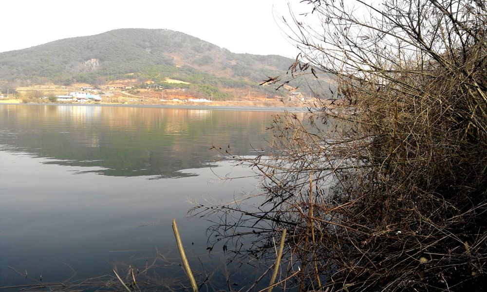 2015-03-21 15.41.10.jpg