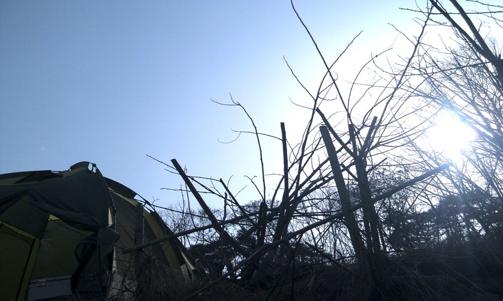 2015-03-21 15.41.45.jpg