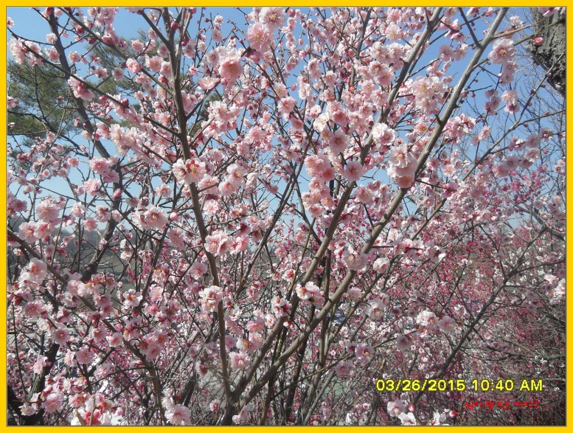 �ٹ̱�_SDC12753.jpg