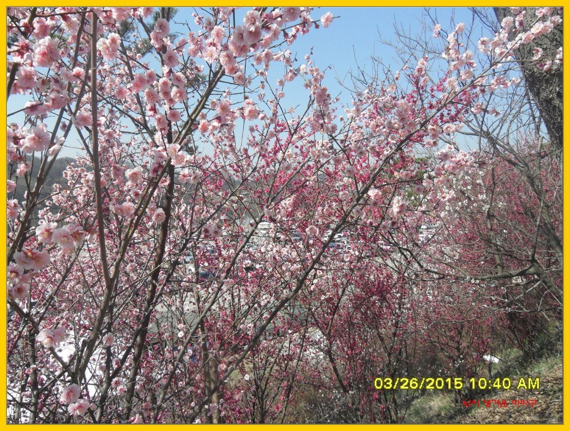 �ٹ̱�_SDC12754.jpg