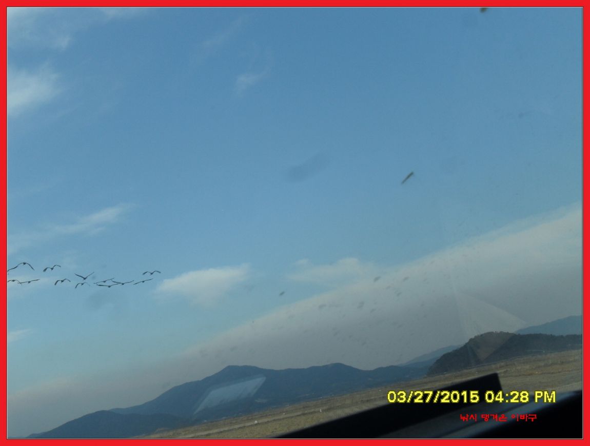 �ٹ̱�_SDC12769.jpg