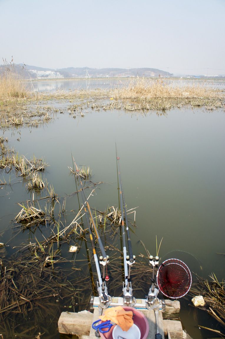 DSC02453.jpg
