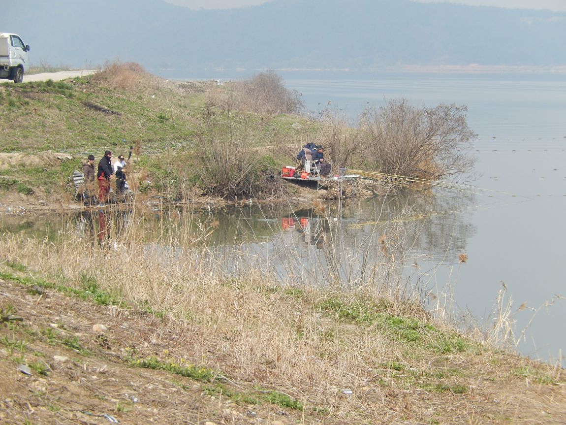 20150404 ƻâ渮 102104011 011.jpg