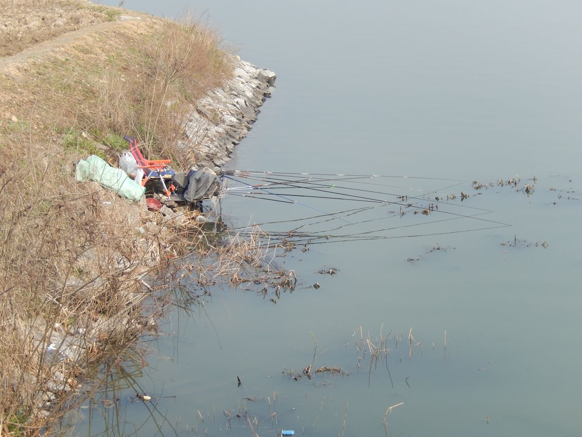 20150404 ƻâ渮 102104011 008.jpg