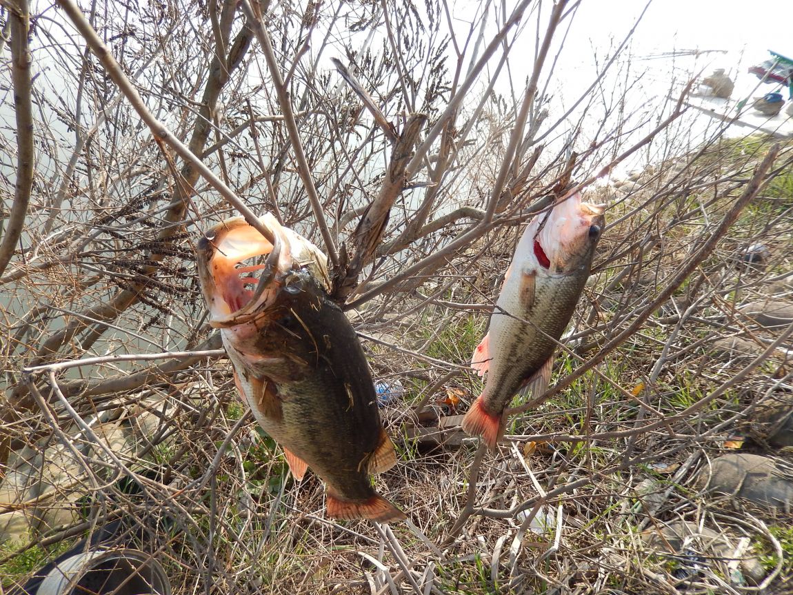 20150404 ƻâ渮 102104011 015.jpg