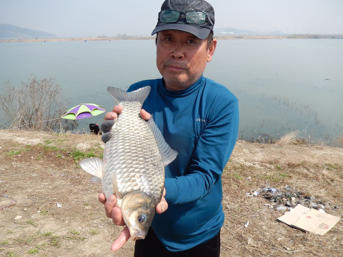 20150404 ƻâ渮 102104011 017.jpg