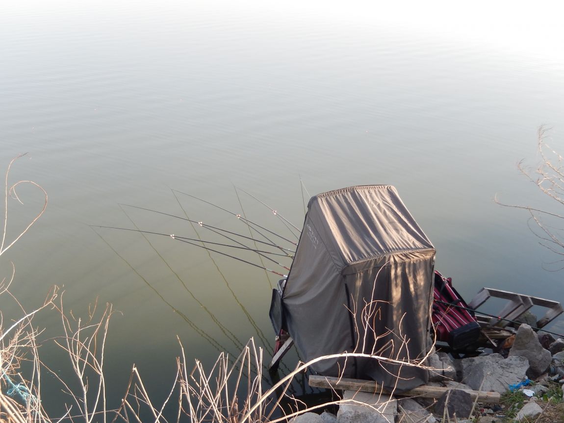 �ƻ�ȣ ������20150425 011.jpg