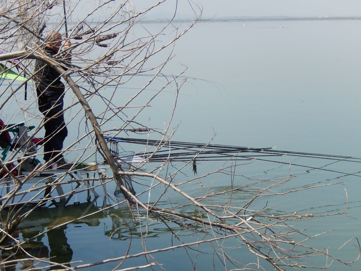 �ƻ�ȣ ������20150425 017.jpg