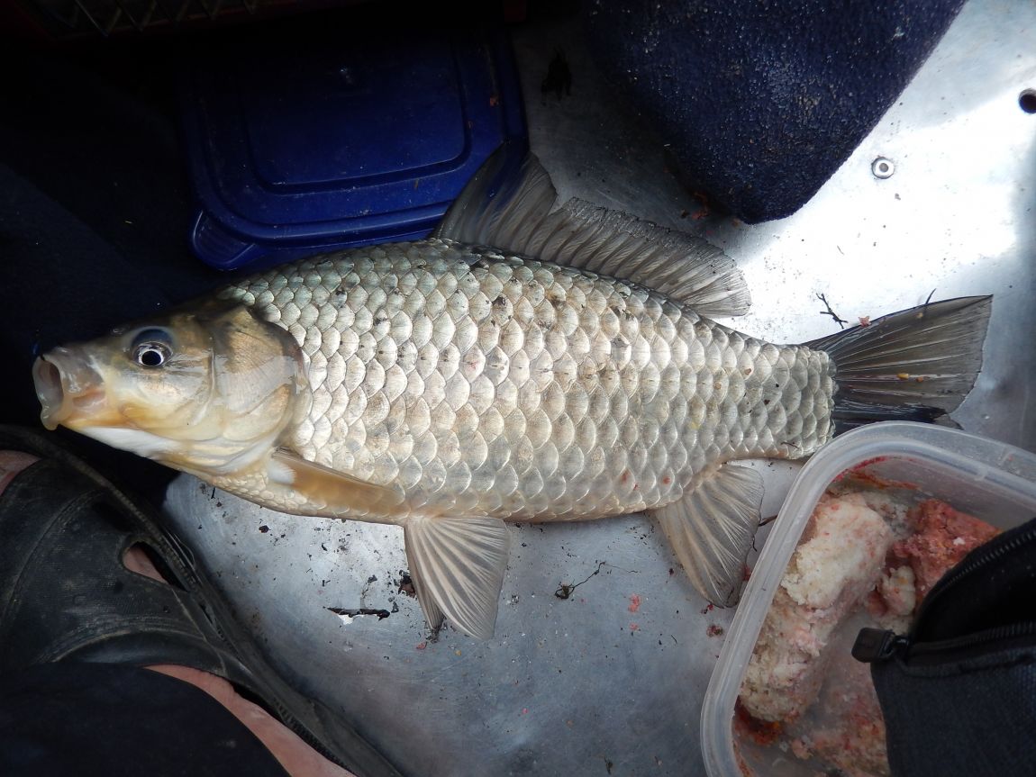 �ƻ�ȣ ������20150425 002.jpg