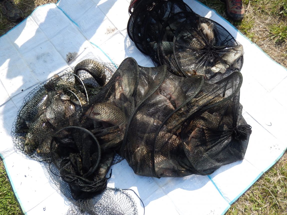 �ƻ�ȣ ������20150425 019.jpg