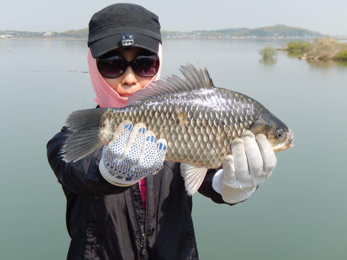 �ƻ�ȣ ������20150425 021.jpg