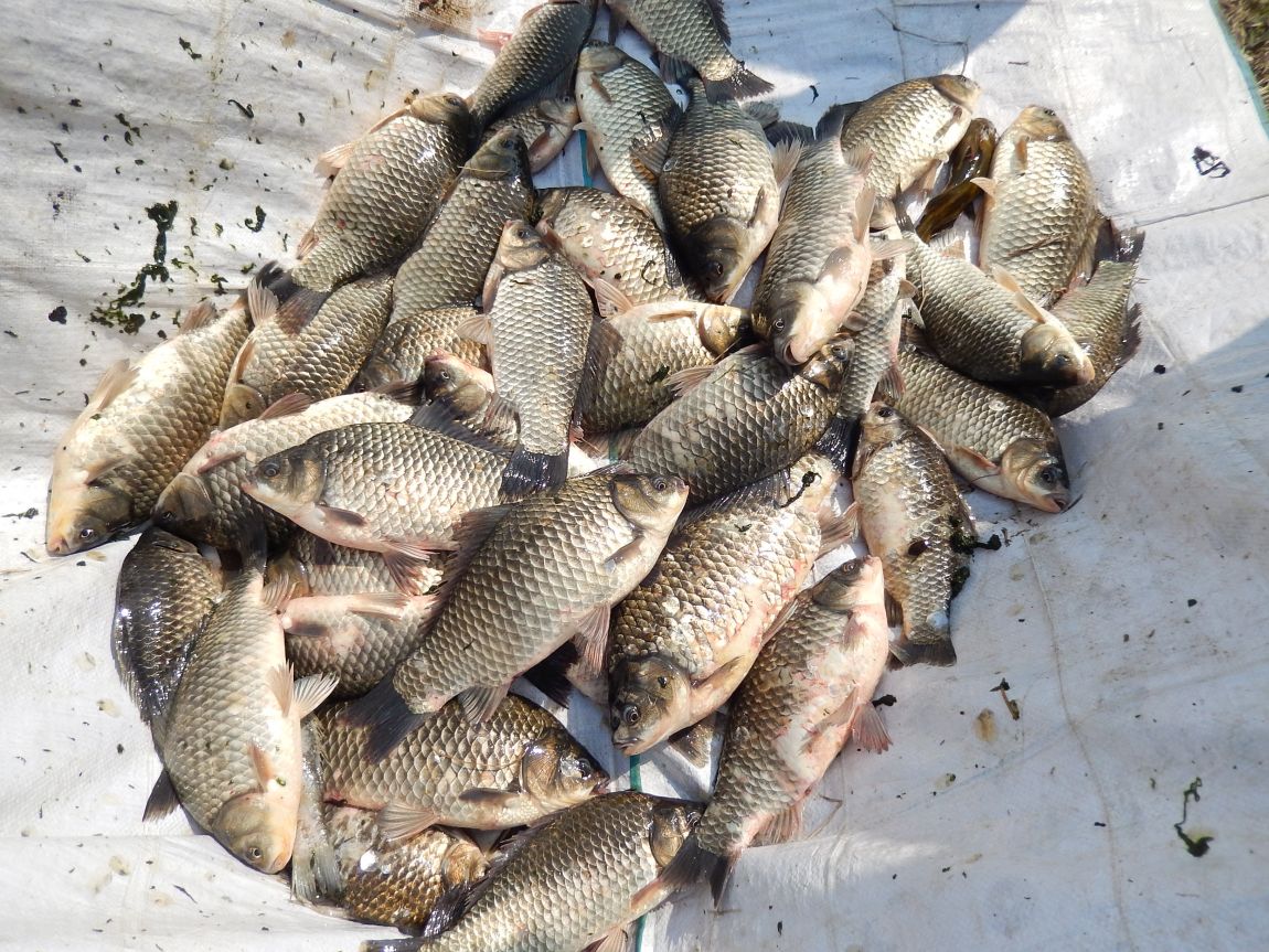 �ƻ�ȣ ������20150425 022.jpg