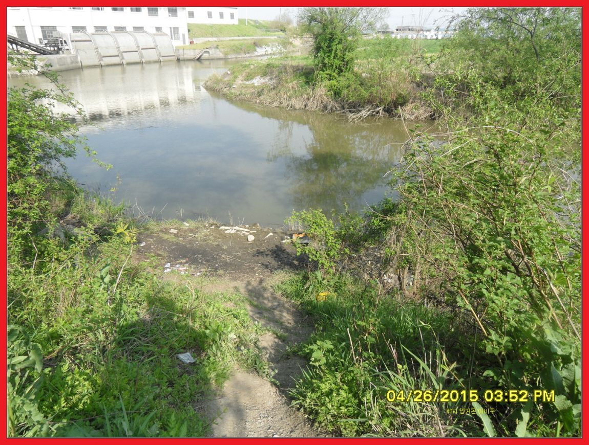 ٹ̱_SDC13196.jpg