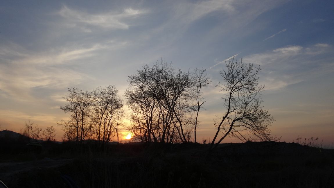 DSC02504.JPG