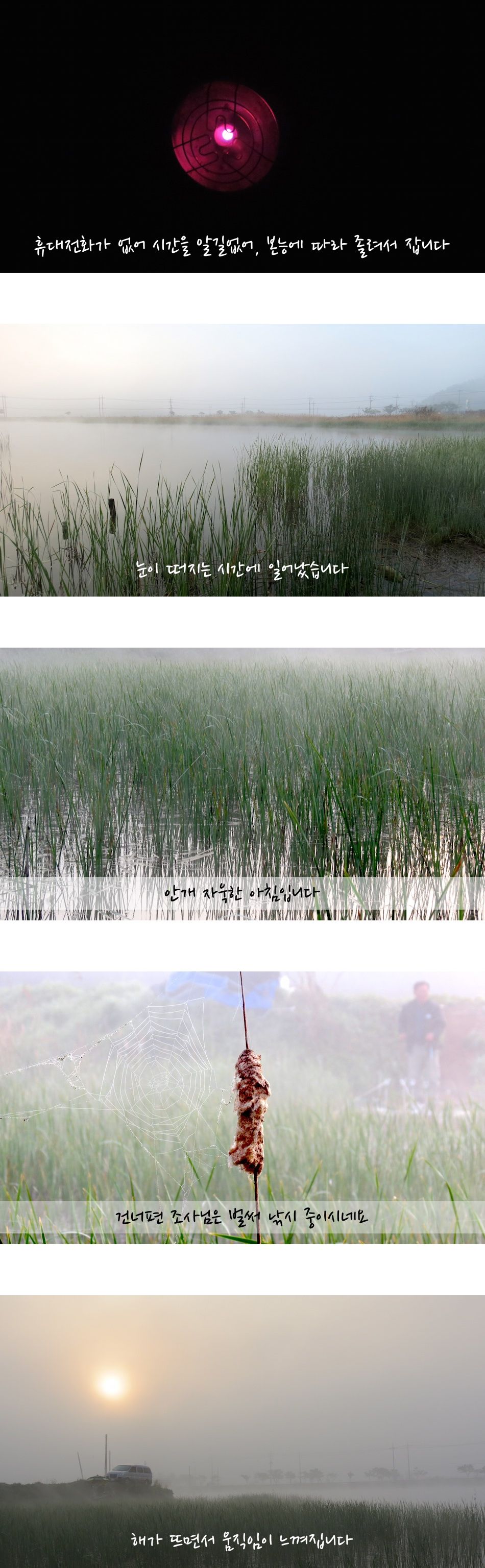 edit_009.jpg