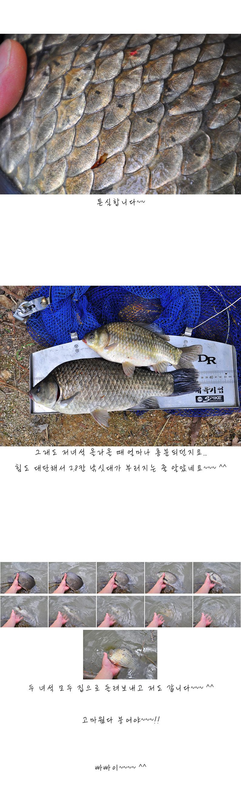 �ҵ��� - 09.jpg