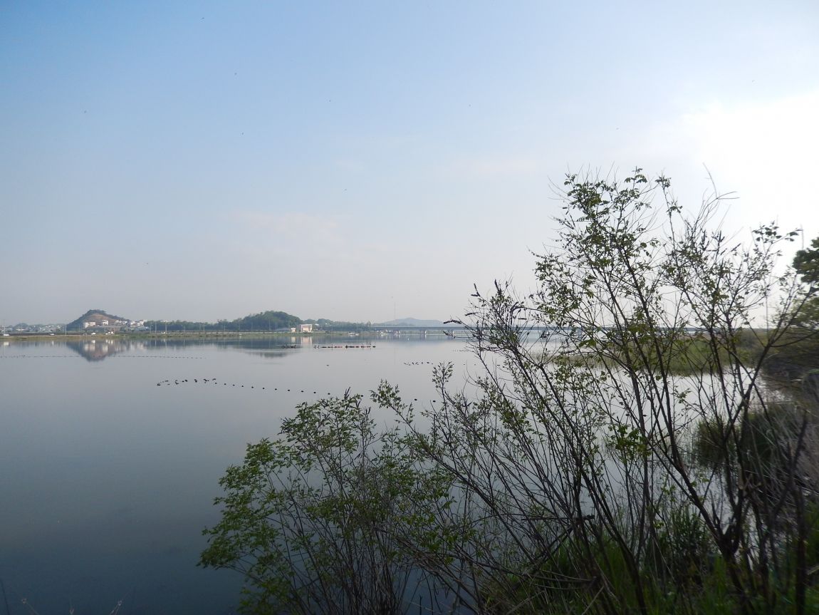 ����ȣ ��긮20150510 004.jpg